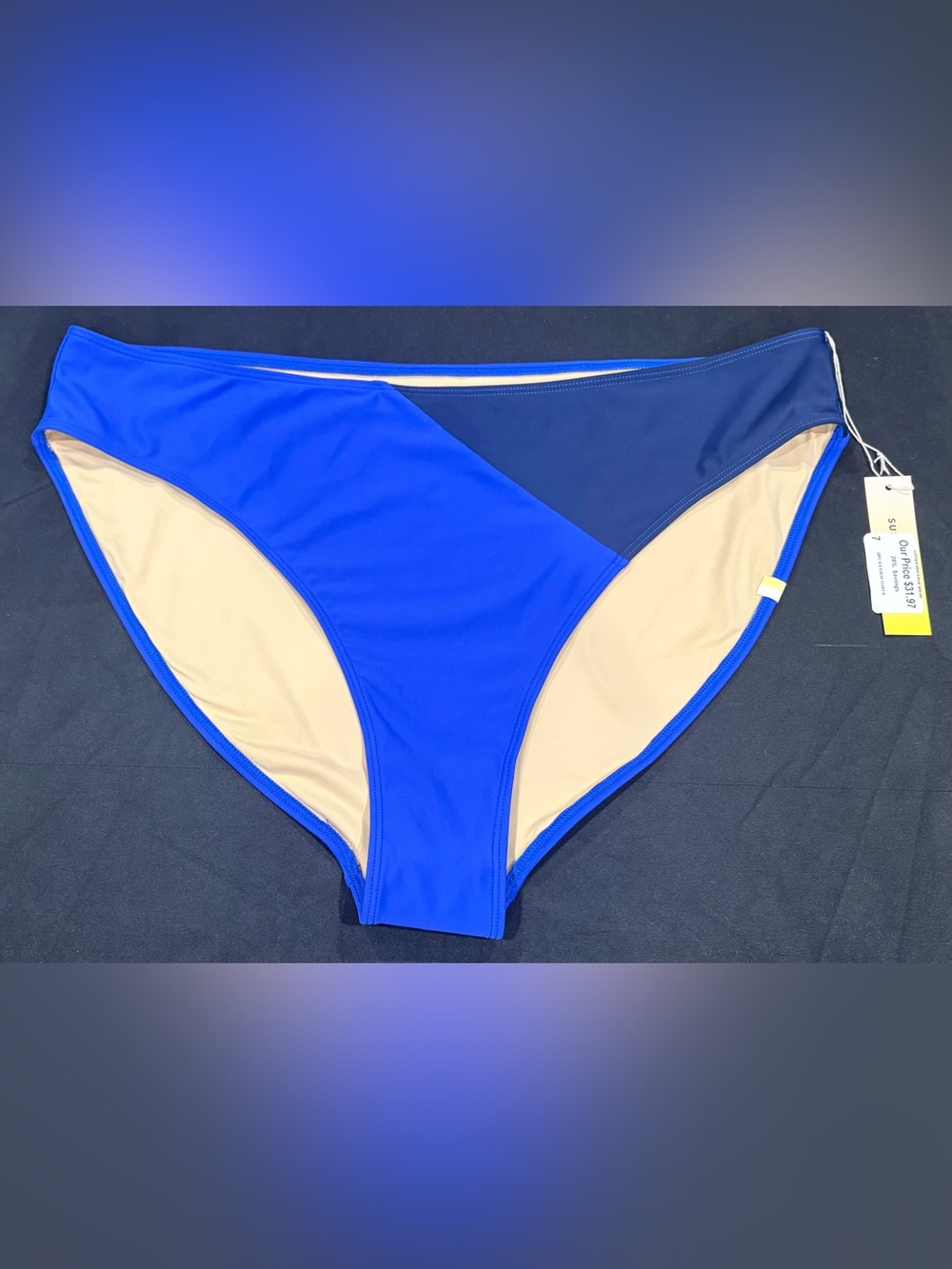 Summersalt Size 16 Blue High Rise Bikini Bottom NWT